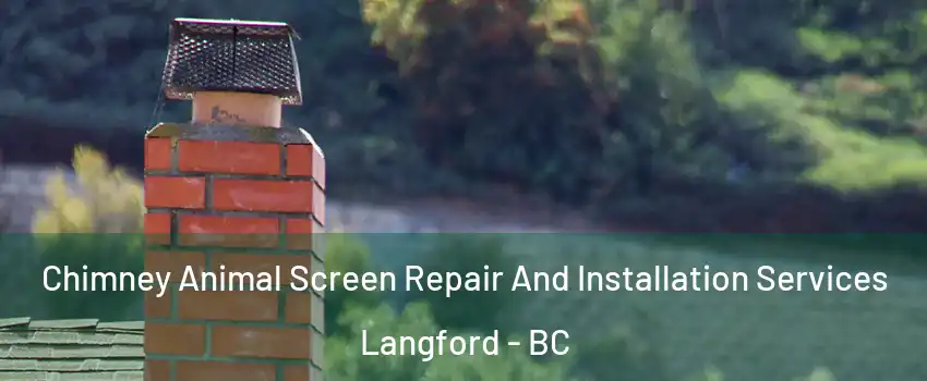  Chimney Animal Screen Repair And Installation Services Langford - BC