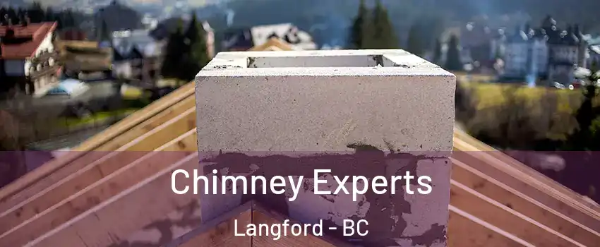  Chimney Experts Langford - BC