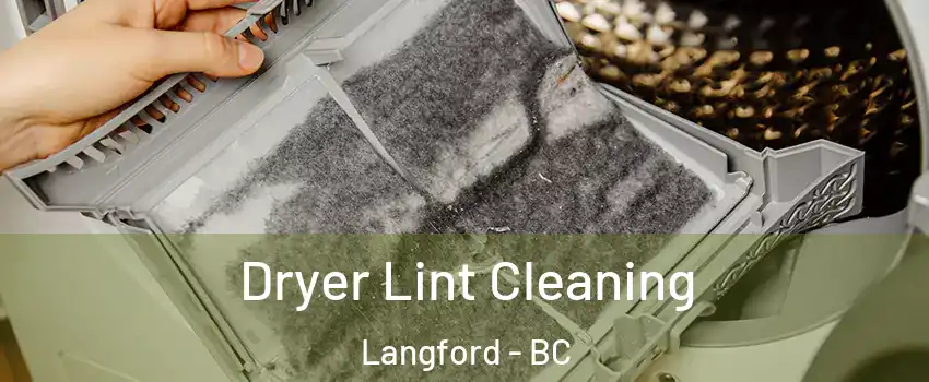  Dryer Lint Cleaning Langford - BC