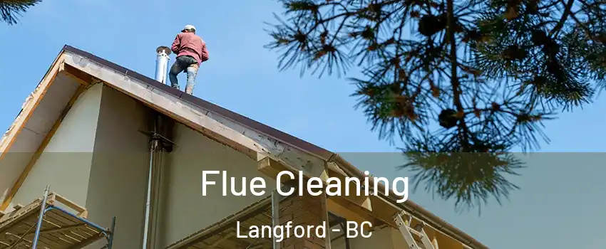  Flue Cleaning Langford - BC
