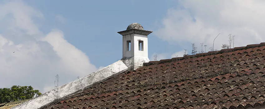 Wind-Resistant Chimney Caps Installation and Repair Services in Langford, British Columbia