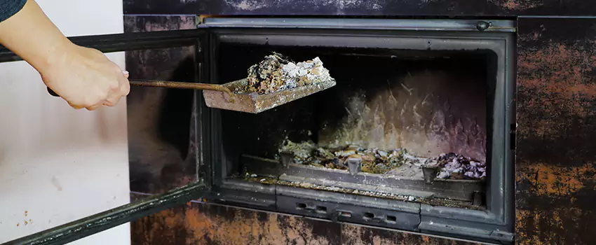 Wood Burning Chimney Odor Removal in Langford, British Columbia