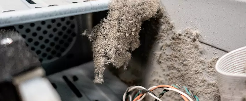 Clogged Dryer Vent Lint Cleaning in Langford, British Columbia