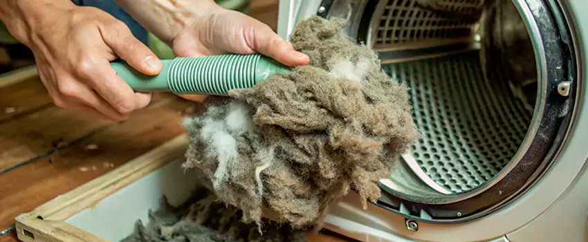 Best Dryer Lint Removal Company in Langford, British Columbia