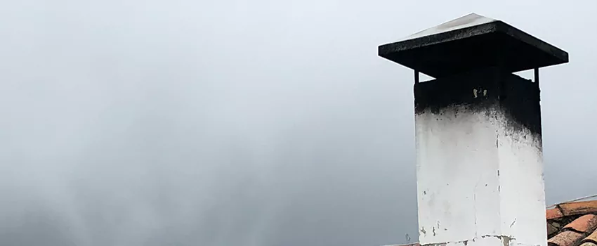 Multi-flue Chimney Caps Installation And Repair in Langford, BC