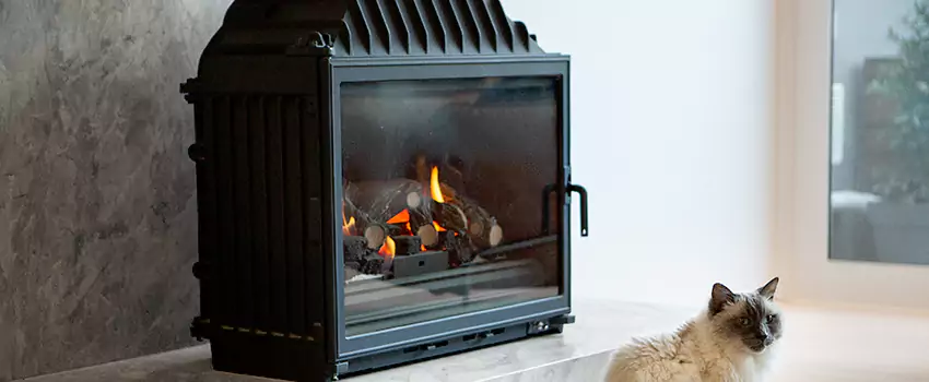 Fireplace Damaged Damper Frame Repair Services in Langford, British Columbia