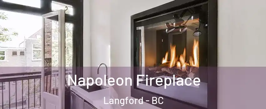  Napoleon Fireplace Langford - BC