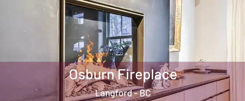  Osburn Fireplace Langford - BC